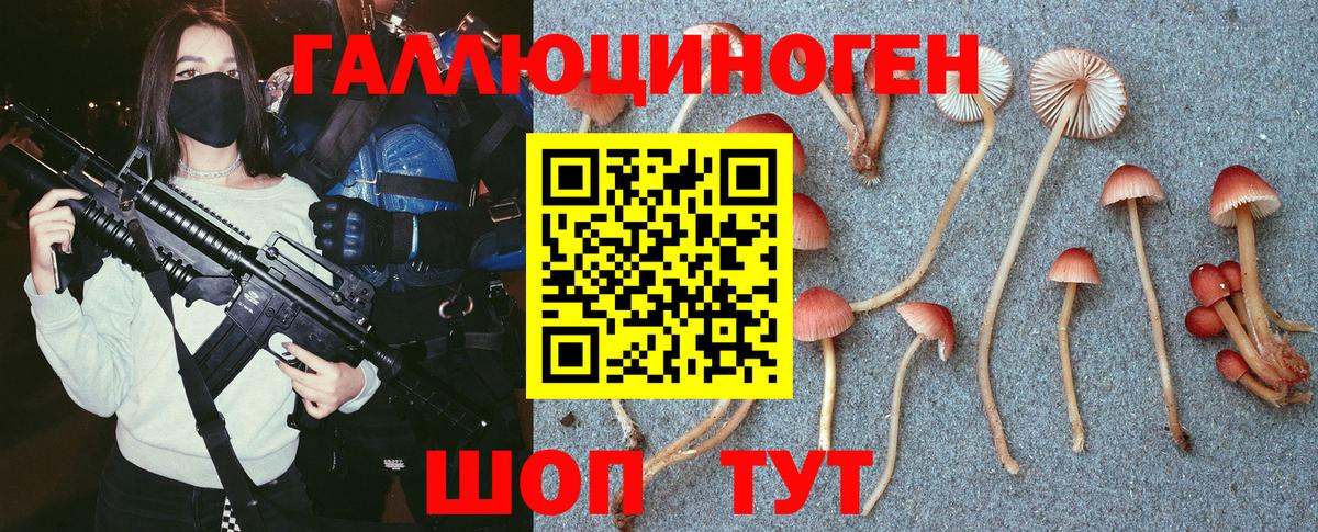 Псилоцибиновые грибы мицелий  Галлюциногенные грибы Cubensis  Кандалакша  Вход с VPN 
