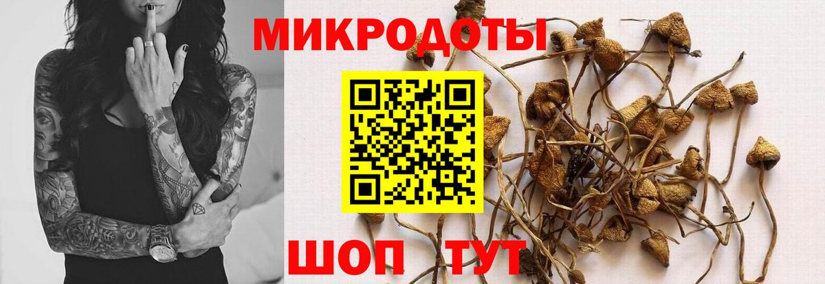 Галлюциногенные грибы прущие грибы Кандалакша